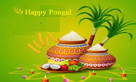 Happy Pongal Wishes greeting