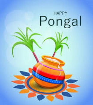 Happy Pongal image