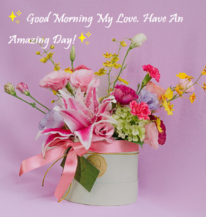 have an amazing day my love