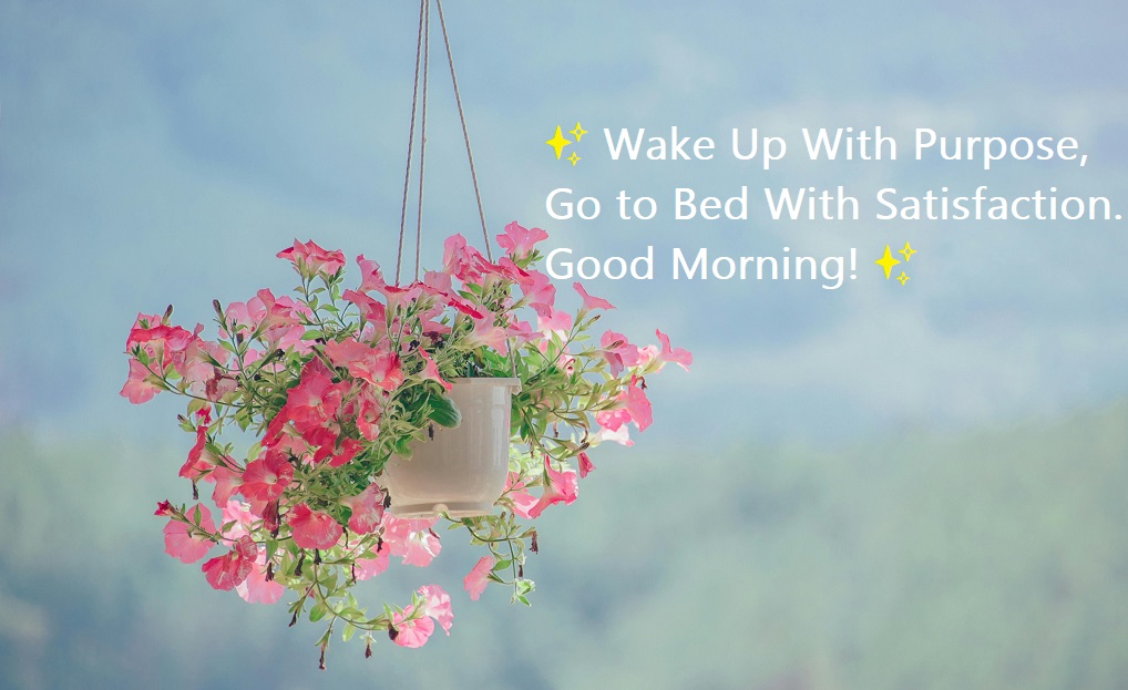 wake up with purpose